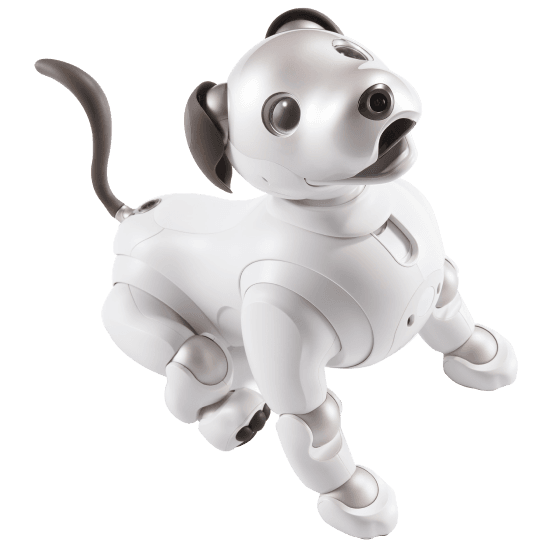 aibo