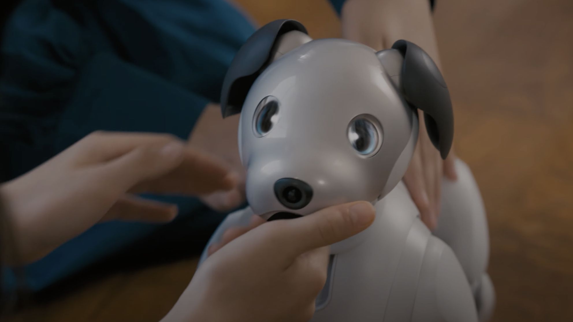 JINS MEME × aibo